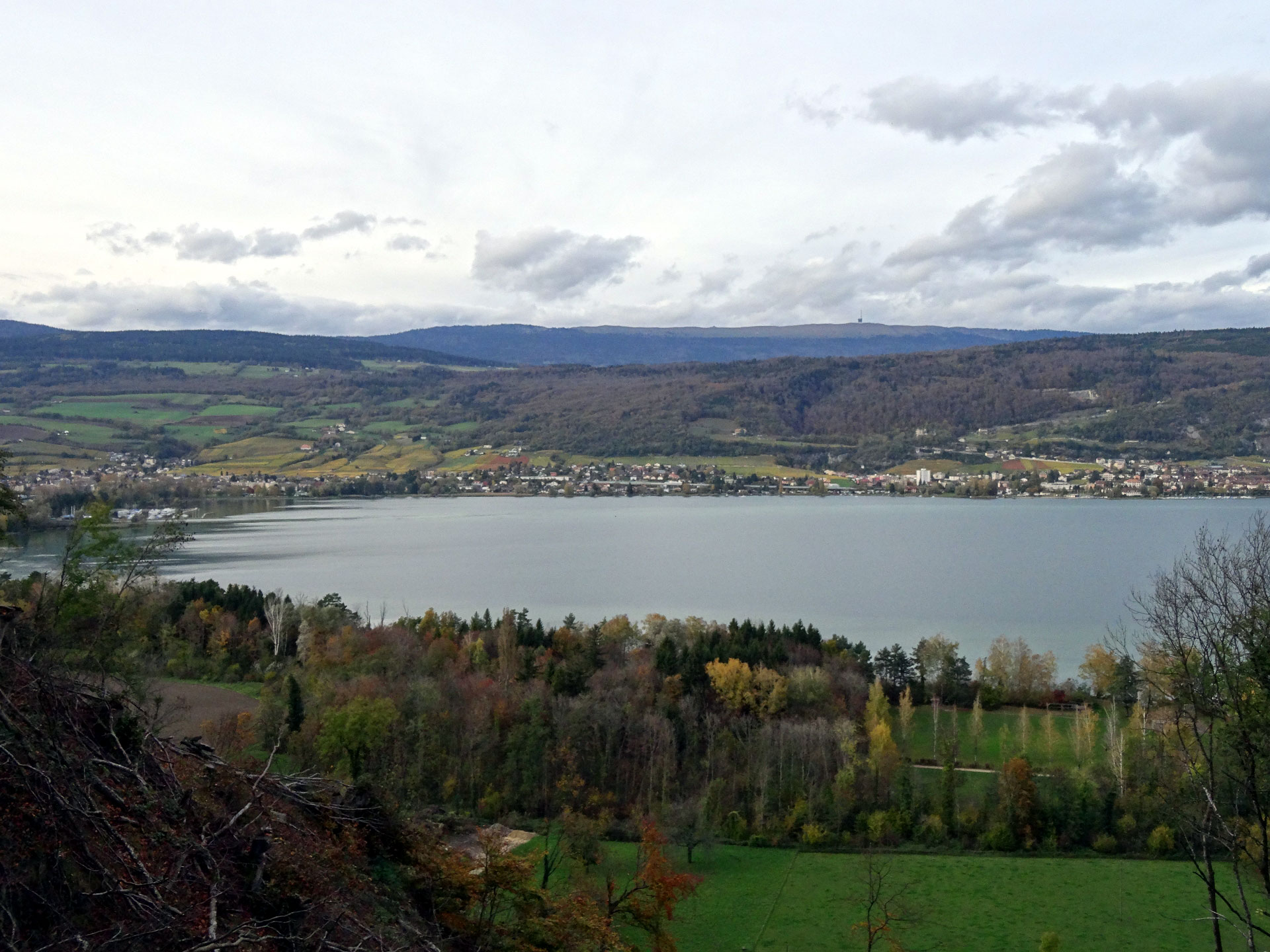 Le Landeron
